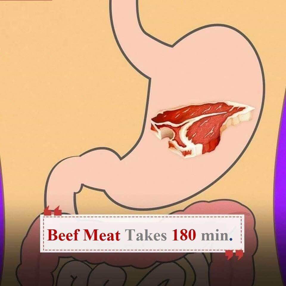 Carne rossa sullo stomaco