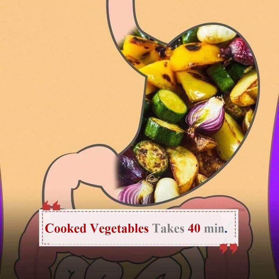 Verdure cucinate sullo stomaco